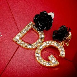 Picture for category DG Earring
